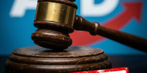 AfD NICHT RECHTSEXTREM